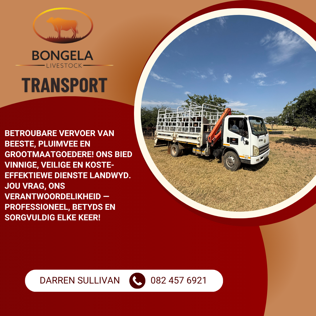 8 Ton Crane Lorry Truck Truck with driver hire for hire in darren South Africa, Gauteng